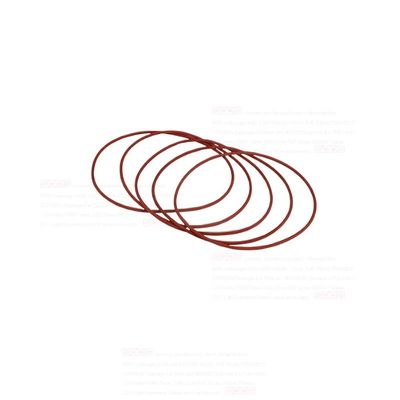 Production of Good Auto Parts SEALING RING 99455400 for Iveco Daily