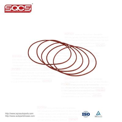 Production of Good Auto Parts SEALING RING 99455400 for Iveco Daily